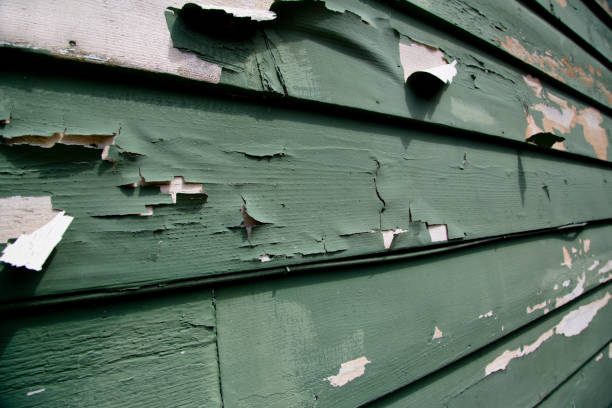 Best Storm Damage Siding Repair  in Gautier, MS