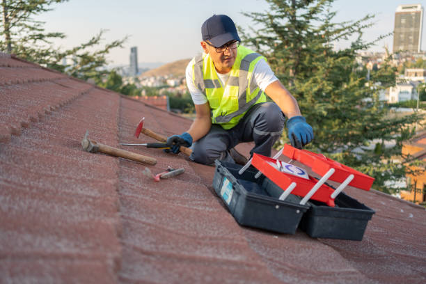 Best Fascia and Soffit Installation  in Gautier, MS